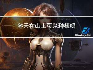 冬天在山上可以种植吗
