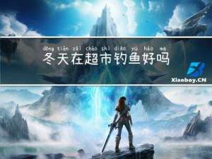 冬天在超市钓鱼好吗