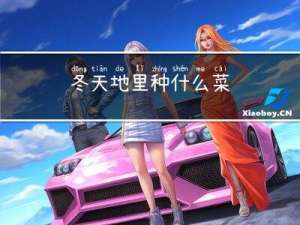 冬天地里种什么菜