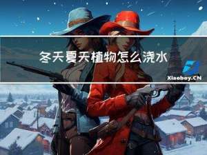 冬天夏天植物怎么浇水