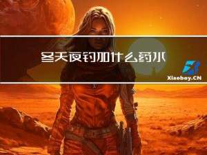 冬天夜钓加什么药水