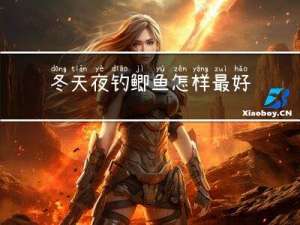冬天夜钓鲫鱼怎样最好