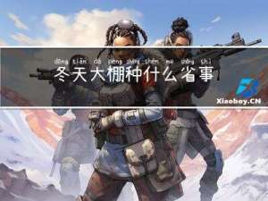 冬天大棚种什么省事
