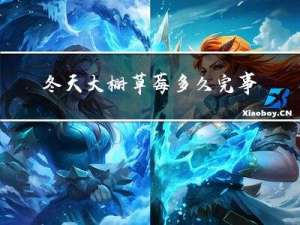 冬天大棚草莓多久完事