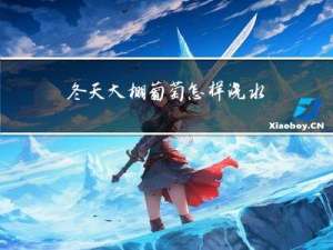 冬天大棚葡萄怎样浇水