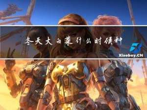 冬天大白菜什么时候种