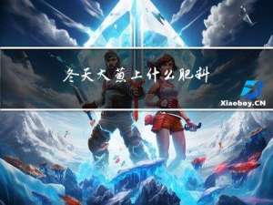 冬天大葱上什么肥料