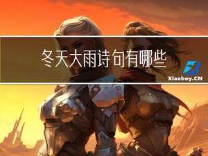 冬天大雨诗句有哪些