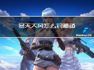 冬天大风怎么钓鲫鱼