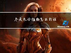 冬天太冷植物怎么打理好