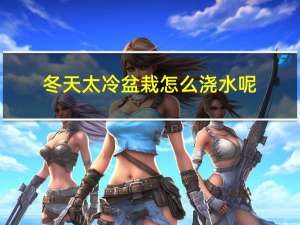 冬天太冷盆栽怎么浇水呢