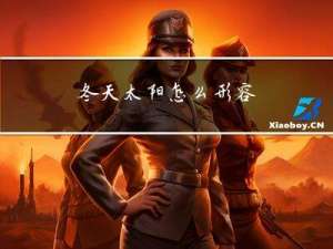 冬天太阳怎么形容