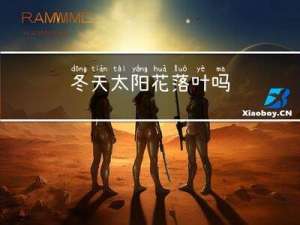 冬天太阳花落叶吗