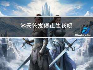 冬天头发停止生长吗