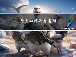 冬天如何保养肾阳