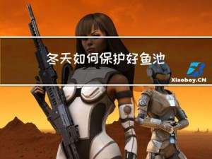 冬天如何保护好鱼池