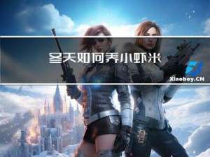 冬天如何养小虾米