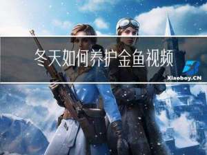 冬天如何养护金鱼视频