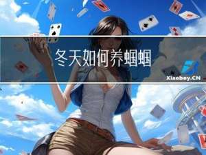 冬天如何养蝈蝈