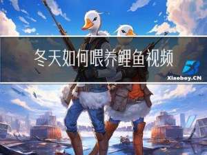 冬天如何喂养鲤鱼视频