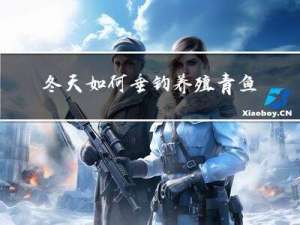 冬天如何垂钓养殖青鱼技术