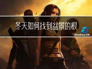 冬天如何找到盆景的根