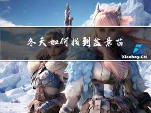 冬天如何找到盆景苗