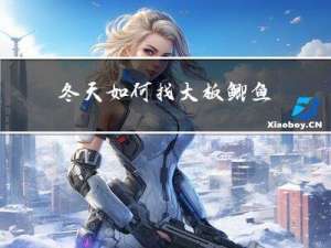 冬天如何找大板鲫鱼