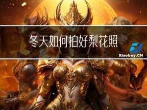冬天如何拍好梨花照