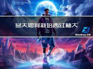 冬天如何栽培西红柿大棚