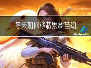 冬天如何移栽果树苗幼苗