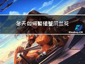 冬天如何繁殖蟹爪兰花