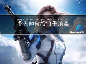 冬天如何给竹子消毒