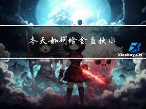 冬天如何给金鱼换水