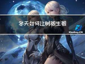 冬天如何让树根生根