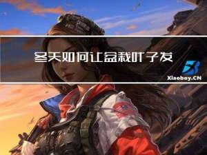 冬天如何让盆栽叶子发芽