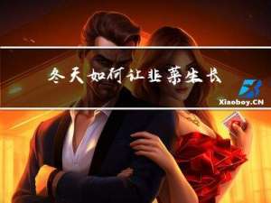 冬天如何让韭菜生长