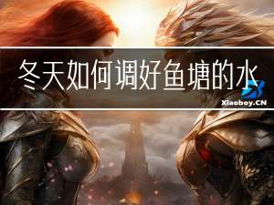 冬天如何调好鱼塘的水质