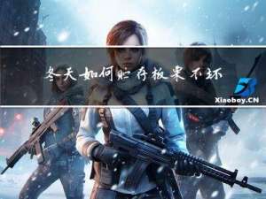 冬天如何贮存板栗不坏