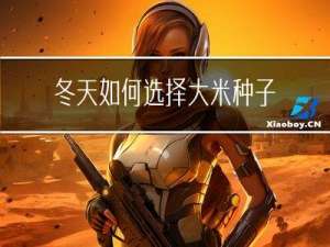 冬天如何选择大米种子