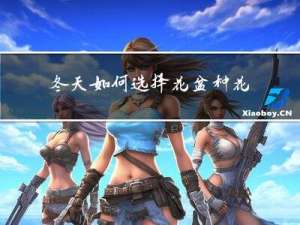 冬天如何选择花盆种花