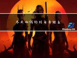 冬天如何钓到白条鲤鱼