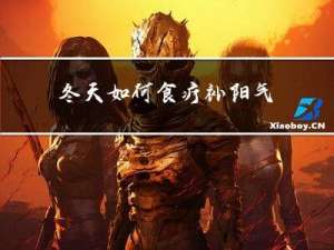 冬天如何食疗补阳气