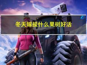 冬天嫁接什么果树好活