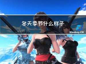 冬天季节什么样子