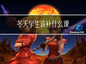 冬天学生该补什么课