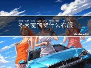 冬天宠物穿什么衣服