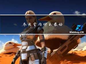 冬天室内什么最好