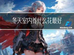 冬天室内养什么花最好