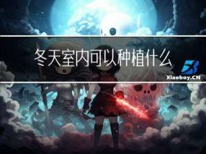 冬天室内可以种植什么花